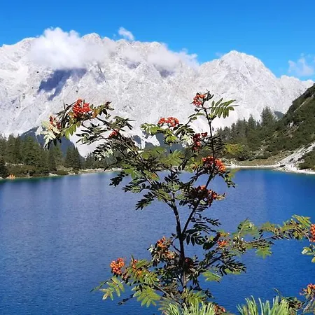 Haus Alpenblick 3* Ehrwald